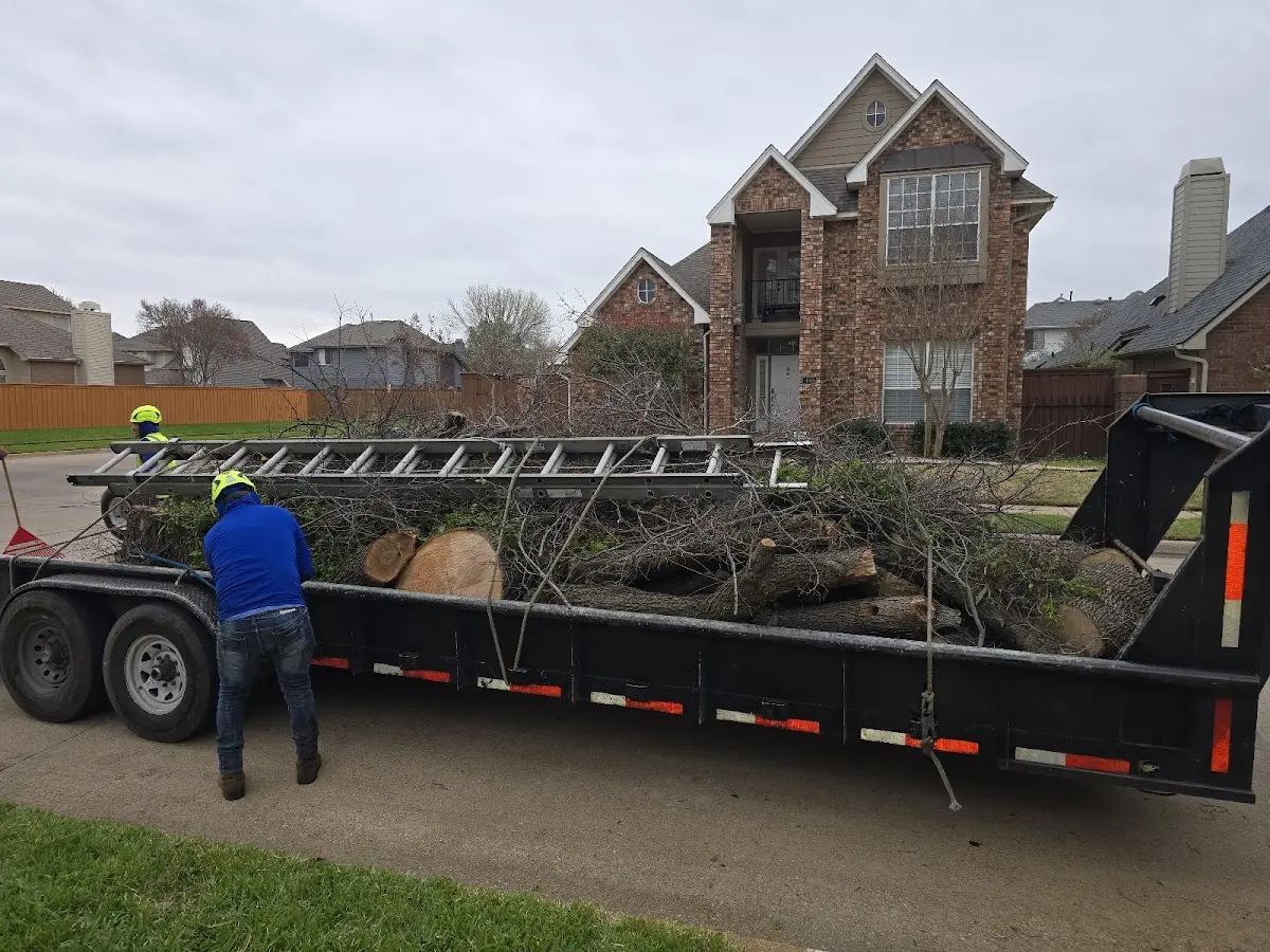 Expert Crown Reduction with proper safety equipment in Zanesville